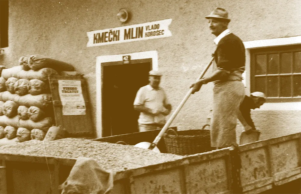 Odkup v Mlinu Korošec, 1981