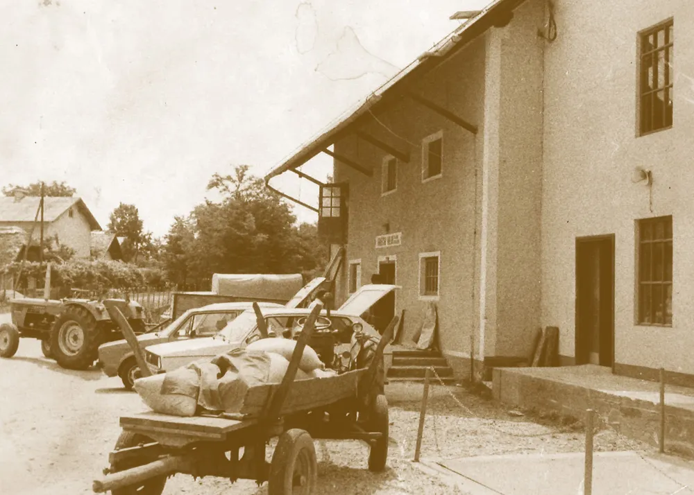 Mlin Korošec, 1984